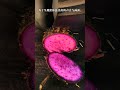 Asmr Dragon fruit satisfying cutting sounds #asmr #viral #shorts