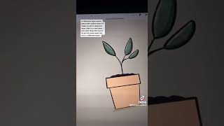 Reference Layer Beginner Tutorial in Procreate