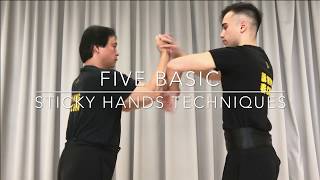 Wing Chun Sticky Hands: The 5  hand techniques you need to know