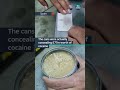 Police bust drugs gang with help of tinned tuna #itvnews #news #tuna #crime #spain #police