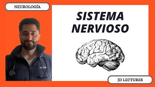 GENERALIDADES DEL SISTEMA NERVIOSO | NEUROLOGÍA