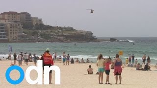 Shark warning prompts Bondi Beach evacuation