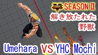 スト5 ➤ウメハラ(ガイル)VS YHC餅(ダルシム)【次々と猛者を葬るウメハラ】