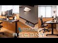 Omnidesk Ascent 2022 | Full Review & Assembly Guide