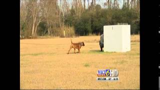 Meet the newest member of the New Hanover County Sheriff's Office!