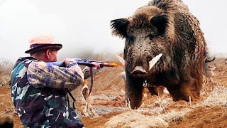 TOP 1   The tough fight of TURKEY'S master hunters with WILD BOARS #hoghunt #wildboar #wildpig