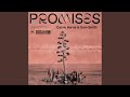 Promises