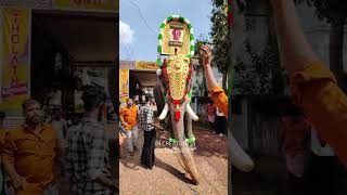 മന്ത്രി പുത്രന്റെ ഒരു കിടിലൻ നിലവ് 👌#kerala #pooram #elephant #aana #asianelephant #perunnal