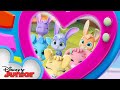 Bunny Bunch 🐰 | Calling All T.O.T.S. | T.O.T.S. | @disneyjunior