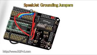 RoboGuts Build-Up with a BS2 BASIC Stamp 2 module