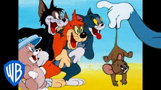 Tom & Jerry | What a Cat-astrophe! | Classic Cartoon Compilation | WB Kids