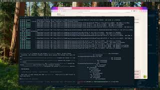 Agentic Coding Questions and Current Workflow
