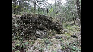 Hike to Quarry and Cave in Withlacoochee State Forest