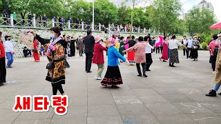 새타령 연변 연길 강변 노래방에서