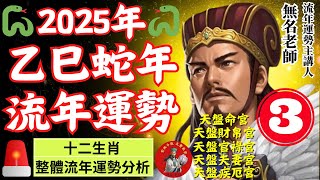 【2025年乙巳年流年運勢分析(3)】| 2025乙巳年12生肖運勢預測完整解析，流年命盤主要宮位解讀全攻略，男女運程趨吉避凶秘訣大公開! | 命運好好玩  | 【紫微斗數2024-EP53】