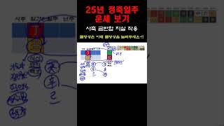 2025년 을사乙巳년 정축일주 운세_사축 금반합  #을사년운세  #25년운세