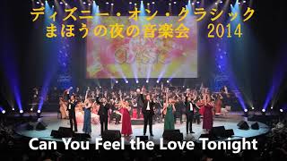 ディズニー・オン・クラシック まほうの夜の音楽会2014　ライオンキングより　Can You Feel the Love Tonight