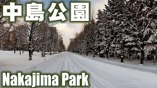 【雪道】中島公園を歩いてきた　I walked in Nakajima Park.