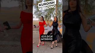 KURDISH WEDDING #shorts #kurdistan #turkey #wedding #dance