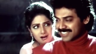 Ammayi Muddu Ivvande Full Video Song || Kshana Kshanam Movie ||  Venkatesh, Sridevi