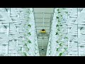 Plant factory intelligent planting