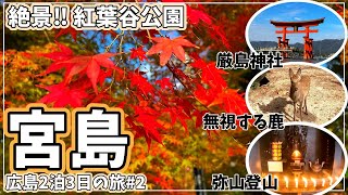 【広島・宮島】紅葉の絶景と厳島神社参拝・そして弥山登山に挑戦！【2022年11月】#2