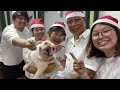 weekly monotony dec 23 29 2024 vlog