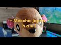 ✨Meccha Japan✨ Japanese haul unboxing 🌸Pokemon & Animal Crossing 🐼 coupon code value 10USD discount!