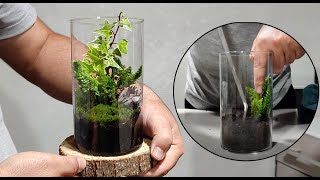 تراریوم|The idea of ​​building a beautiful but simple terrarium / how to build a terrarium at home