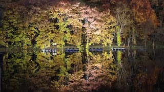 香雪園、八郎沼…紅葉盛る　北海道南　深まる秋