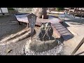 平野神社 すえひろがねと御神木の楠