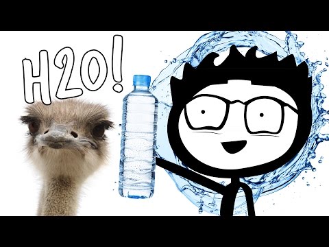 How to Drink Water to Lose Weight: 4 Scientific Reasons it Works How to Drink Water to Lose Weight: 4 Scientific Reasons it Works