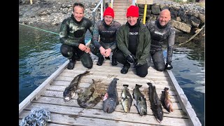 Spearfishing Norway - Which spcies can we catch?