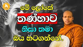 මේ ලෝකේ තණ්හාව නිසා තමා බය හටගන්නේ.|Ven Hasalaka Seelawimala thero