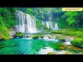 [Healing music 247], Calming and RELAXING MUSIC reduces stress and stops you from overthinking