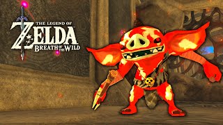 Cruel Vah Rudania - Zelda Breath of the Wild