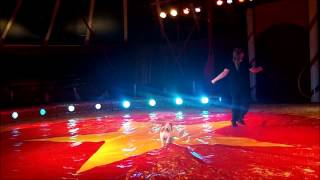 Circus PIPO strijkt neer in Moerbeke