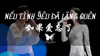 『VIETSUB+LYRICS+PINYIN』NẾU TÌNH YÊU ĐÃ LÃNG QUÊN – UÔNG TÔ LANG & THIỆN Y THUẦN《如果爱忘了》单依纯&汪苏泷〣声生不息