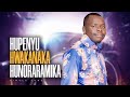 Ashy Anointed Hannok - Hupenyu Hwakanaka Hunoraramika (Official Audio)