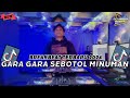 🎧 DJ Gara Gara Sebotol Minuman Viral Tiktok - Breakbeat Terbaru 2024 🎧 | Remix By MAYO RMX