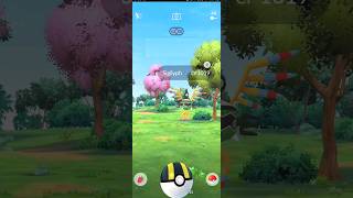 Sigilyph Pokemon spon  in Pokemon go #shortvideo #pokemon #pokemongo