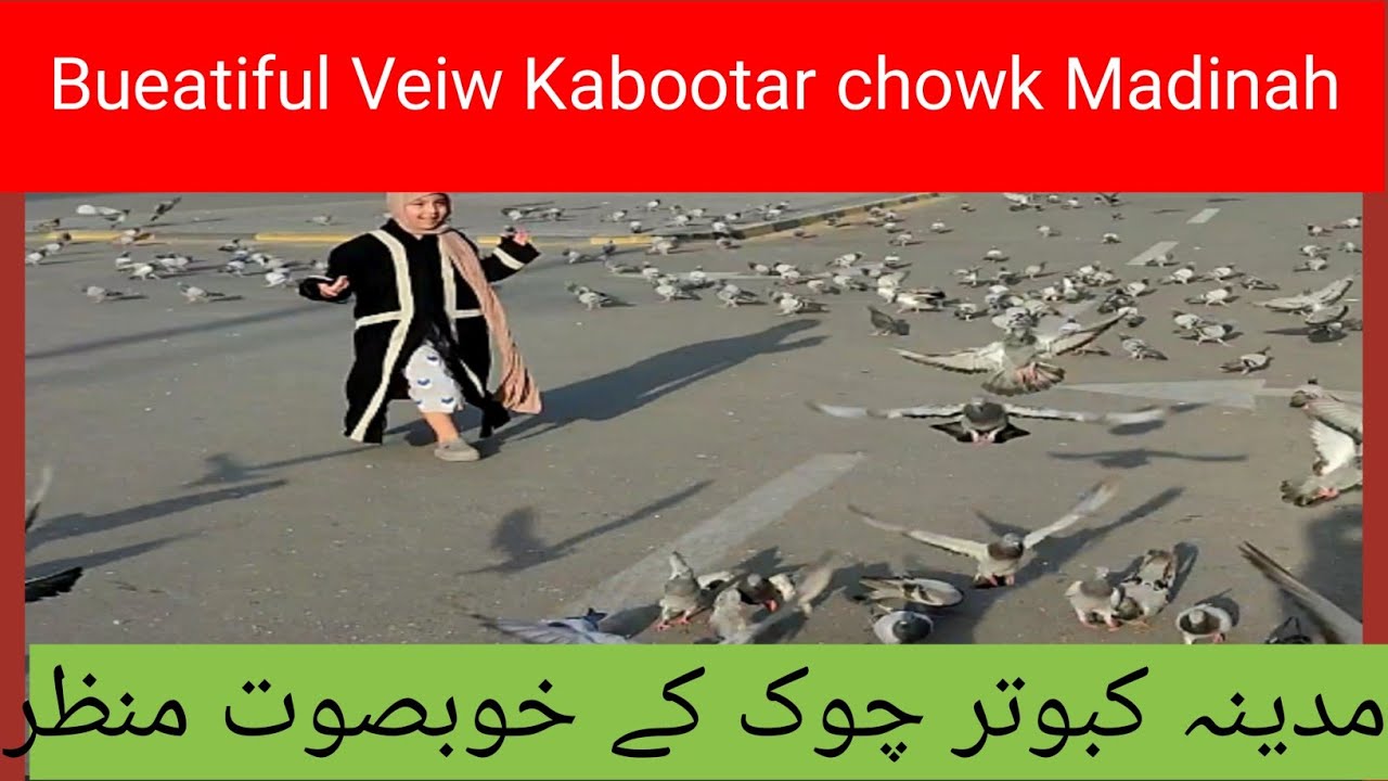 Kabootar Chowk Madinah | Kabootar Hotle Madina | Kabutar Flying Views ...