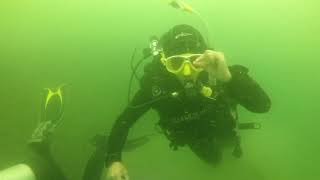 水下邂逅大闸蟹。Meet hairy crabs underwater.