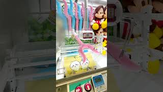 【Chiikawa】 Super BIG  Cute Goods Claw Machine in JAPAN!!