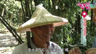 《從古玩到精》EP15：花東縱谷--米棧古道