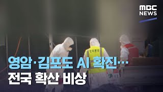 영암·김포도 AI 확진…전국 확산 비상 (2020.12.14/뉴스투데이/MBC)