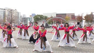 「 魁組 」四日市よさこい やったろ舞2017【市民公園会場】