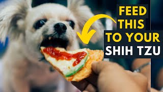 25 Secret Foods That Can Help Your Shih tzu to  Live Longer and Healthy Life Forever