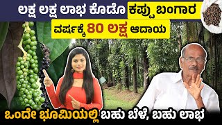 ವರ್ಷಕ್ಕೆ 80 ಲಕ್ಷ ಆದಾಯ ಕೊಡೋ ಕಪ್ಪು ಬಂಗಾರ ಈ ಕೃಷಿ - Black Pepper Farming Complete Details In Kannada