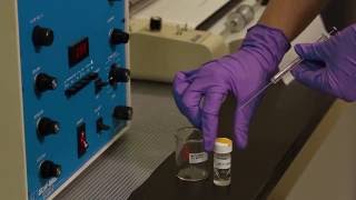 Gas Chromatography